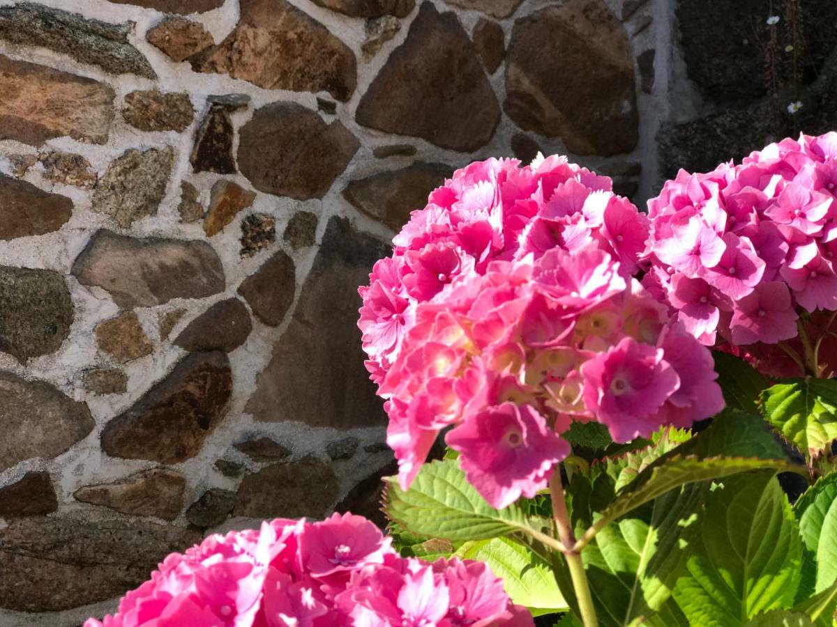 Hotel Manoir Des Petites Bretonnes Saint-Quay-Perros Exterior foto